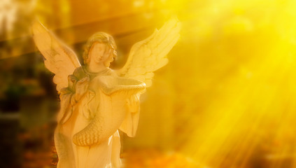 Angel antique statue in sunlight against blur background.