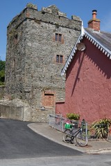 Fototapeta na wymiar Strangford Castle on Strangford Lough,County Down, Northern Ireland