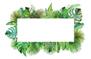 Obraz premium Watercolor plant leaves frame. Palm leaf, monstera, tree illustration.