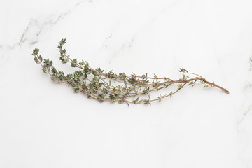 Thyme, mother-of-thyme. A macro shot of the fresh herbs on white background, top view. Fresh herbs. cooking. Thyme Isolated, close up of green aromatic herb for cooking.