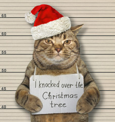 The beige cat in a Santa Claus hat was arrested. It has a sign around its neck that says I knocked over the Christmas tree. Lineup background. - 325505968
