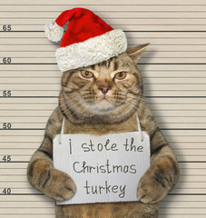 The beige cat in a Santa Claus hat was arrested. It has a sign around its neck that says I stole the Christmas turkey. Lineup background.