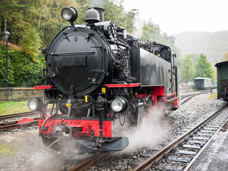 Obraz na płótnie Canvas Steam locomotive of the narrow-gauge railway