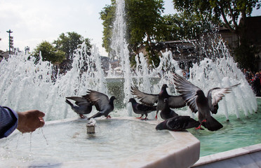 Fototapety na wymiar - Fototapeta24.pl