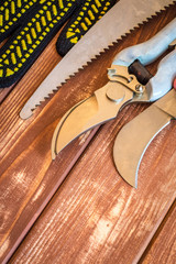 Set of tools for gardeners and gloves on vintage wooden boards is prepared before pruning the garden in the spring