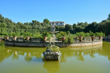 Fototapeta na wymiar The garden giardino di Boboli in Florence