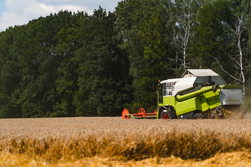 Special machine harvesting crop in fields. Agricultural technic in action. Ripe harvest concept. Crop panorama. Cereal or wheat gathering. Heavy machinery, blue sky above field.