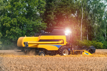 Harvester at work gathering wheat in a field. Agricultural machinery theme.