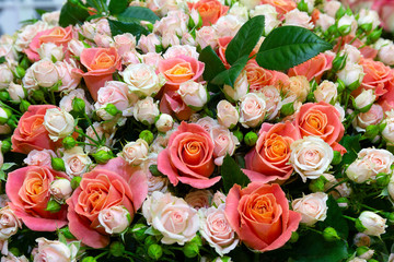 Large bouquet of red roses and cream close-up. Flowers