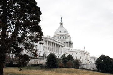 United States Capitol in Washington DC