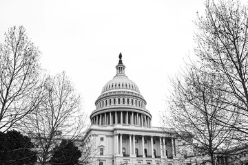 United States Capitol in Washington DC