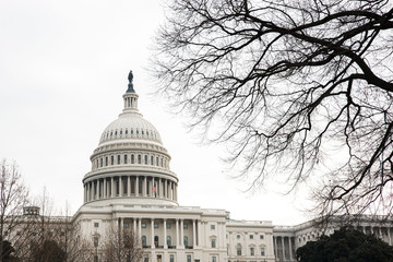 United States Capitol in Washington DC