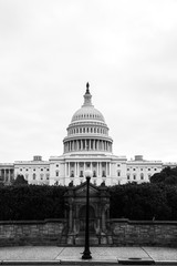 Fototapeta na wymiar Capitol in Washington DC