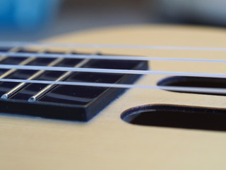 Fototapeta premium Macro of Ukulele Body and Strings