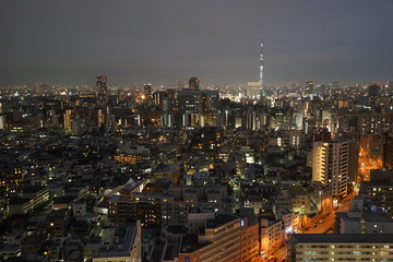 東京　夜景　ツリー　スカイ　展望台