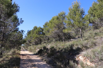 naturaleza 