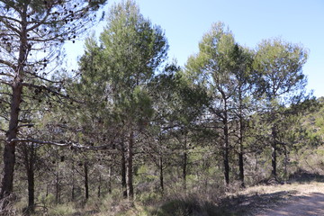 naturaleza 