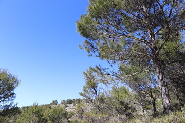 naturaleza 