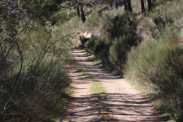 naturaleza 