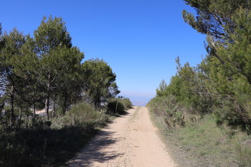 naturaleza 