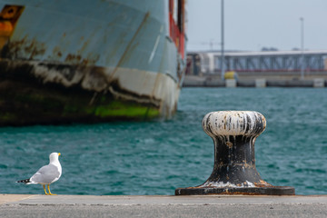 Bollard for mooring ships stained by seagull droppings
