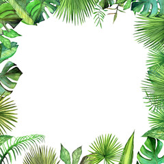 Watercolor tropical plant leaves square frame.