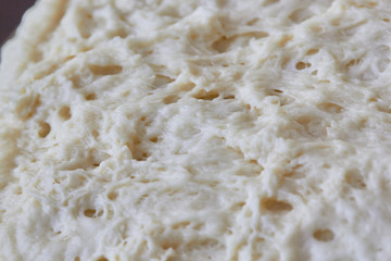 Yeast dough close-up texture for Easter Day