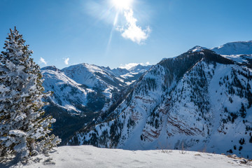Panoramic view of the Rocky Mountains of Colorado, looking up from the top of Elk Camp chairlift at...