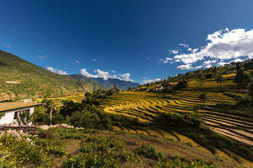 Scenic wide angle panorama view over the landscape of Bhutan, Himalaya. Taken around the Punakha Dzong Monastery in Bhutan. Epic landscape with blue sky and some white clouds. country of happy people