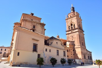 Fototapeta na wymiar Vista de la santa iglesia catedral de Guadix, Granada