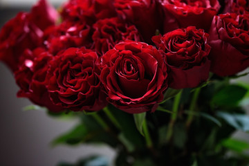 Bouquet of red roses close up.