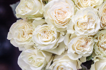 Bouquet of white roses close up