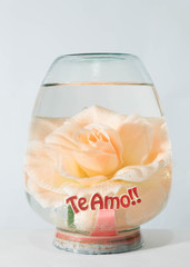 VASO DECORATIVO MÃE