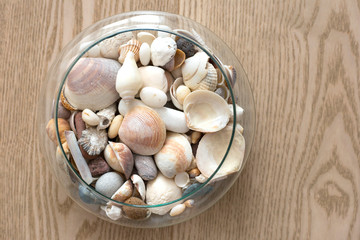 Fototapeta na wymiar Ocean shells in a glass vase. Glass vase with shells stands on a wooden background