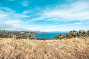 Makara beach natural scenes in Wellington, New Zealand