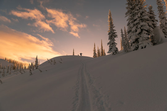 Splitboarder Ascending in Backcountry 