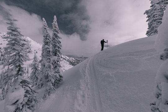 Splitboarder Ascends Mountain in Backcountry Ski Touring Canada