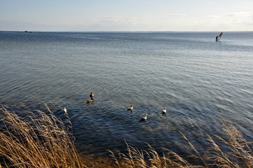 Zatoka Pucka, Polska © Marta