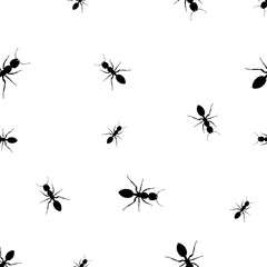 Ants pattern vector in black and white.Isolate,Seamless,for Graphic design and printing.