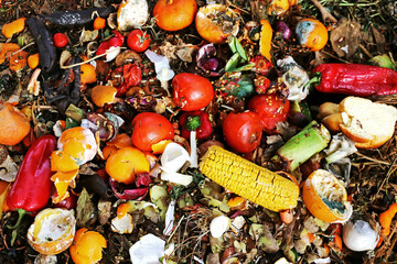 Weggeworfene und verdorbene Lebensmittel auf einem Abfallhaufen