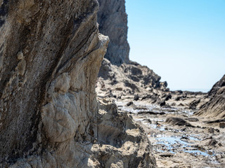 神奈川 三浦半島 釣りの名所 盗人狩