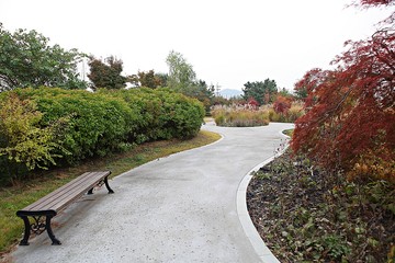 시흥갯골생태공원입니다