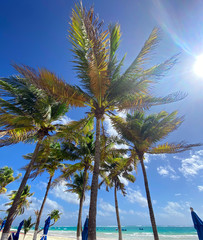 Beautiful exotic beach landscape with palms