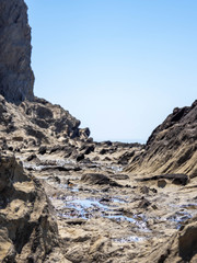 神奈川 三浦半島 釣りの名所 盗人狩