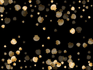 Gold seashells vector, golden pearl bivalved mollusks. 