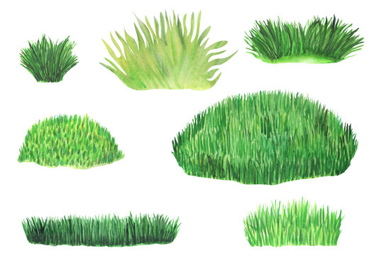 Bushes of green grass on a white background in watercolor. Green grass, meadow in spring isolate. Set of herbs of different sizes and colors.