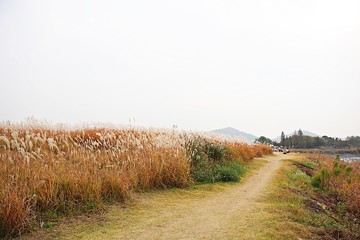시흥갯골생태공원