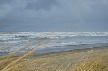 The waves on the cold beach in the winter sunlight on the oregon coast. 
