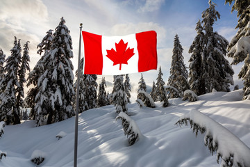 Canadian Nature Landscape covered in fresh white Snow during winter. Taken in Seymour Mountain, North Vancouver, British Columbia, Canada. Natinal Flag Composite