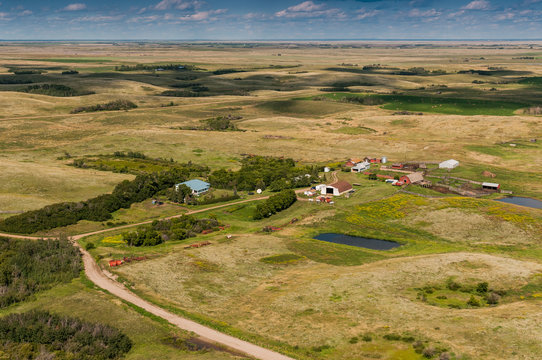 Pairie Farm
